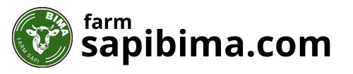 farm Sapi Bima